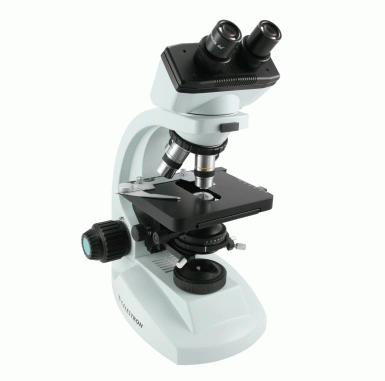 Professional Biological Microscope
